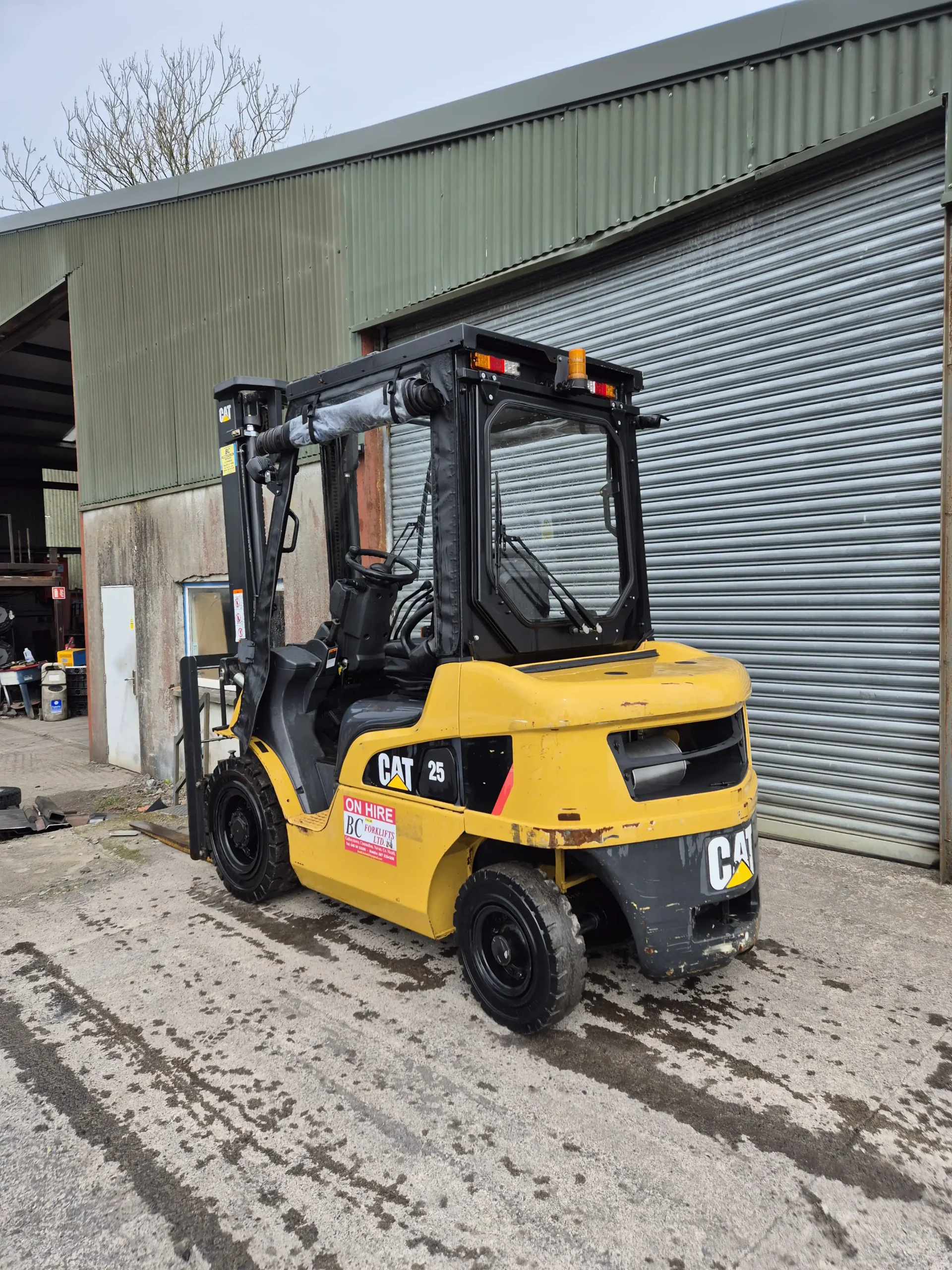 2019 CAT DP25NT Diesel Forklift - Back